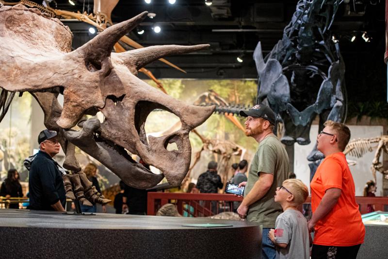Arizona Museum of Natural History_interior