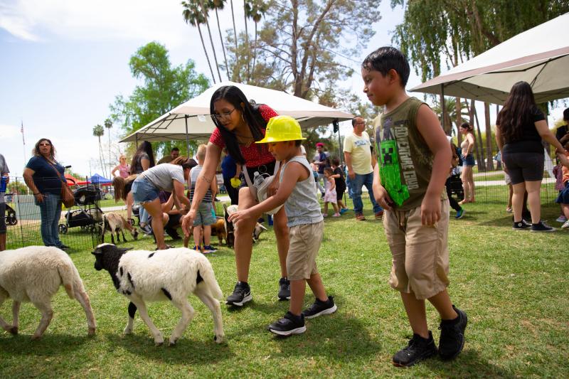 Petting zoo at Celebrate Mesa 2025 